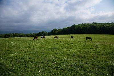 Прикрепленное изображение: IMG_0573.jpg